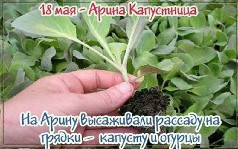 Приметы на 18 мая 2025. Приметы на 18 мая 2025