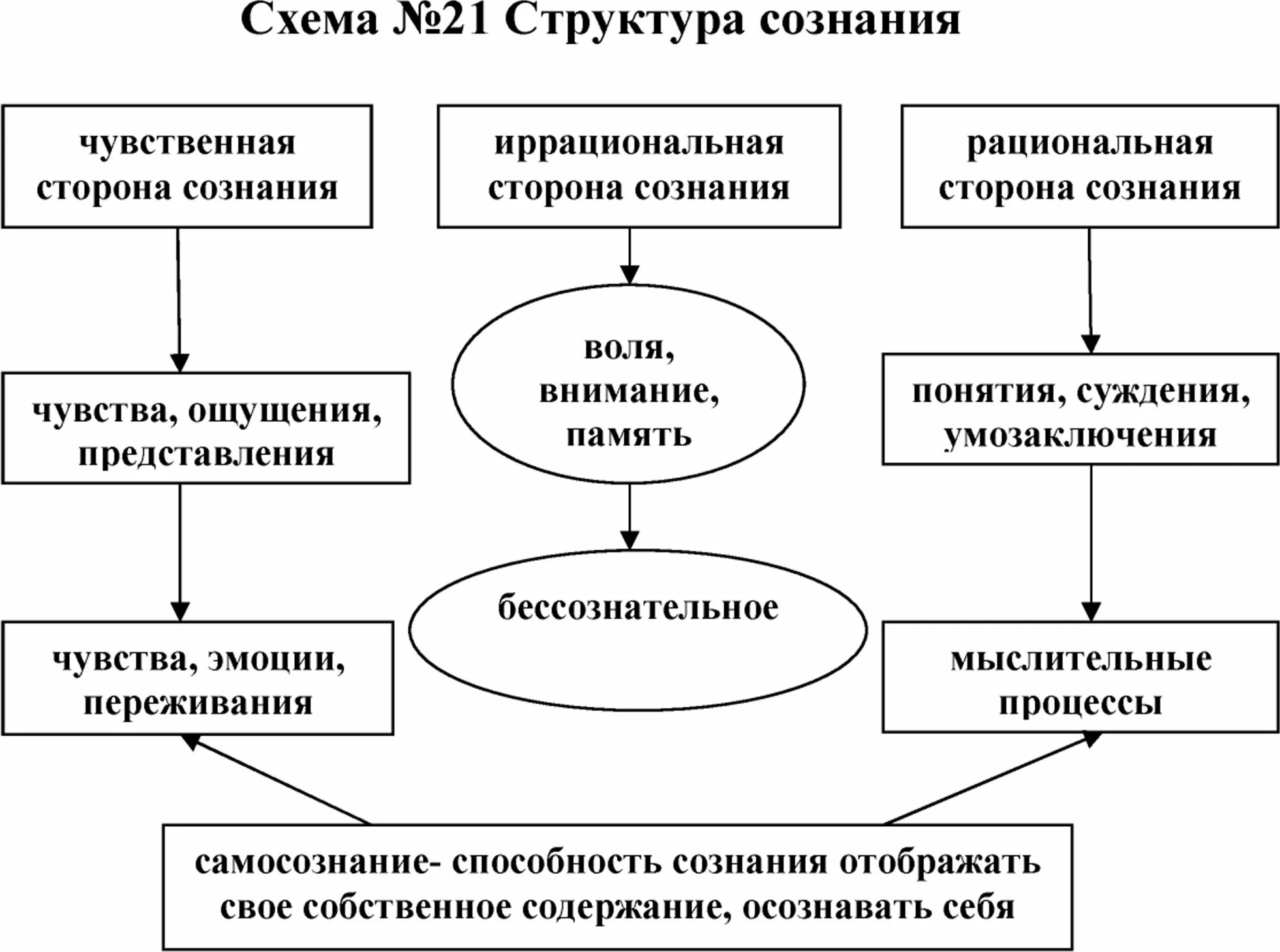 Рационально сознательный. Рационально сознательный. Понятие примеры обществознание. Сознание и личность. Основные формы познания примеры.