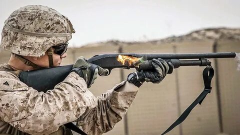 Боевой дробовик