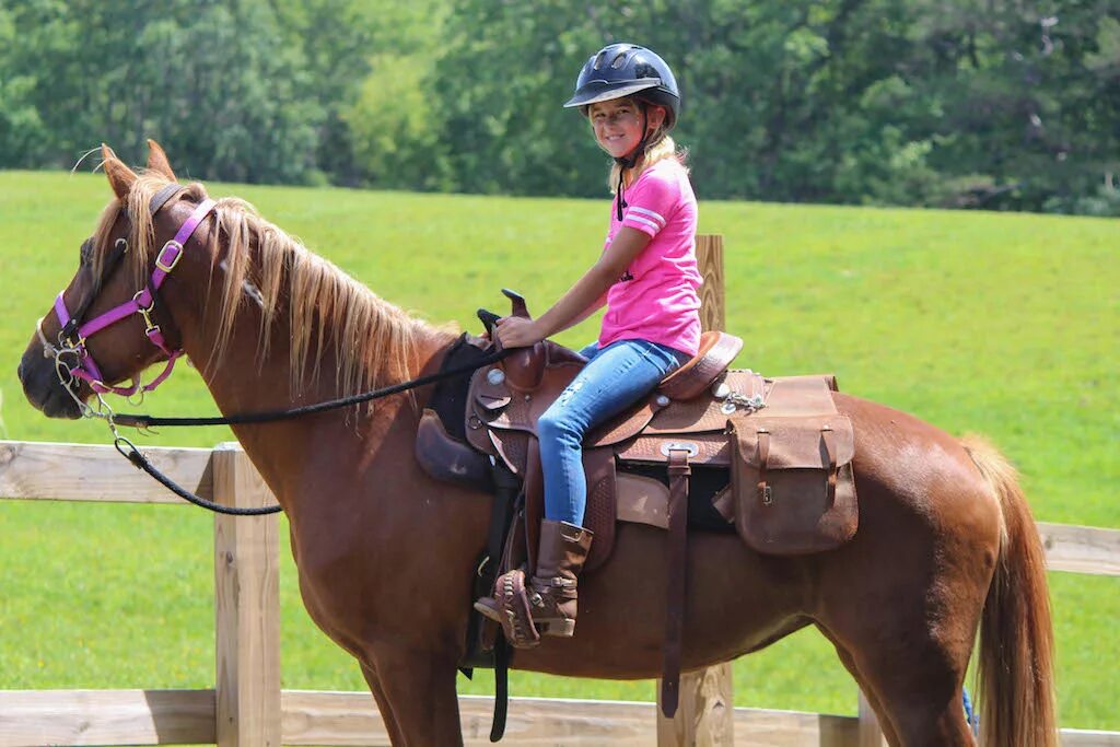 Answer ride. Хорс райдинг. Хорс райдинг хобби. Человек на лошади. Horseback riding.