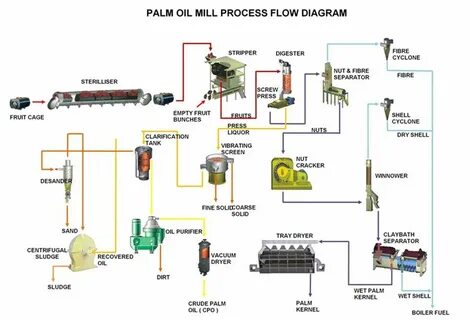 Pro process
