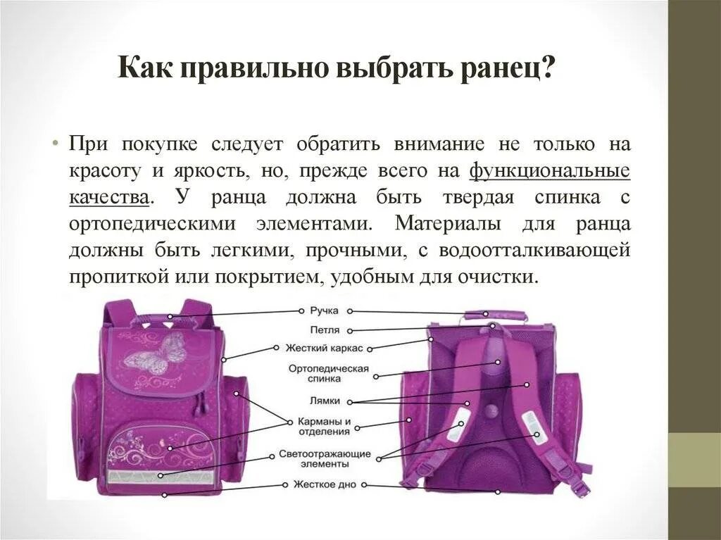 Правильный ранец для первоклассника. Правильный рюкзак для первоклассника. Правильный портфель для первоклассника. Памятка как выбрать портфель для первоклассника. Чем отличается портфель от портфеля