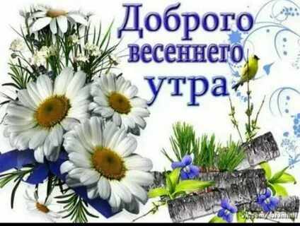 Доброго субботнего дня картинки красивые весенние