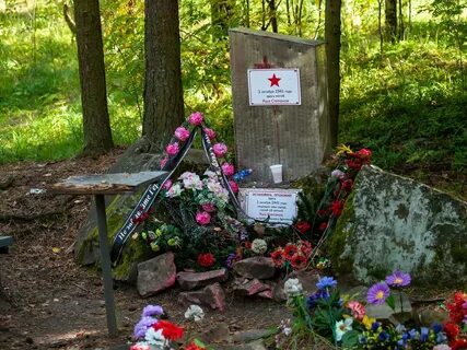 Погода в каменном бору