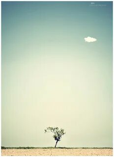 Lonely life