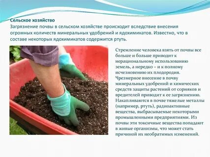 В сельском хозяйстве произошли изменения