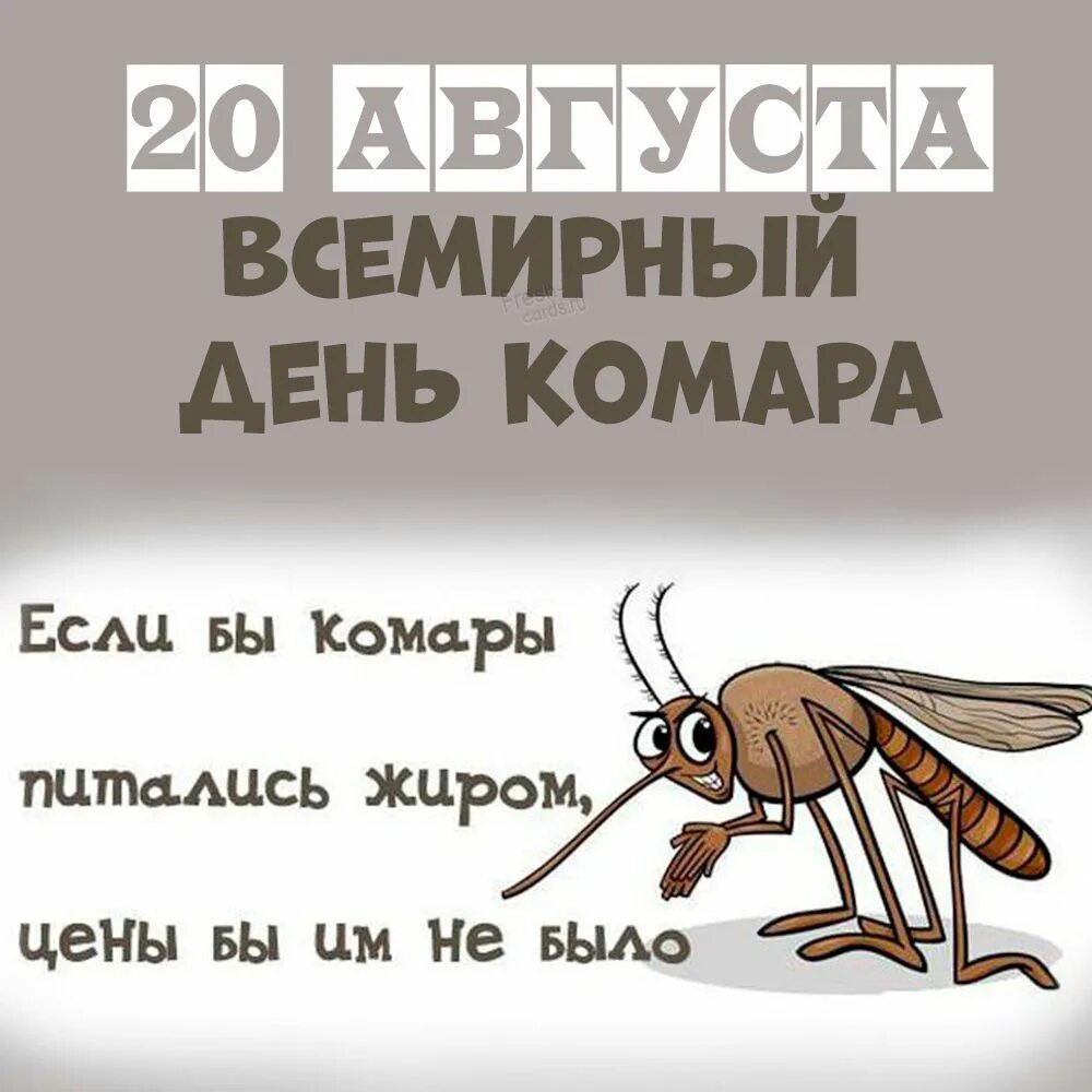 20 августа это какой день. Всемирный день комара. cс днем комара. день комара 20 августа. день комара открытки.