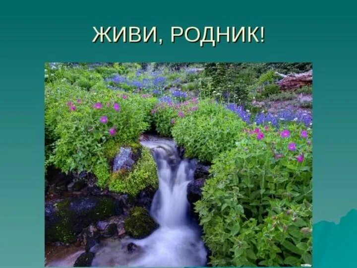 Родник в короче. Живи Родник. Живи Родник живи. Родник презентация. Презентация живи Родник.