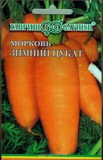 Морковь под зиму отзывы