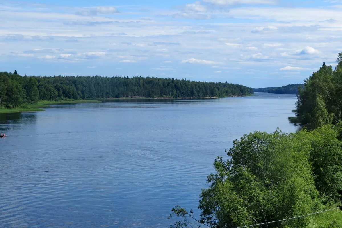 вуокса притоки. вуокса притоки. река вуокса на карте россии. растения реки вуокса. вуокса притоки.