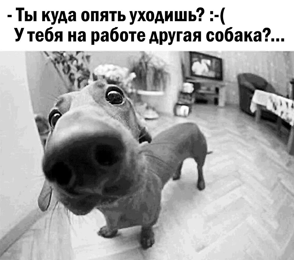 Почему не опять а снова