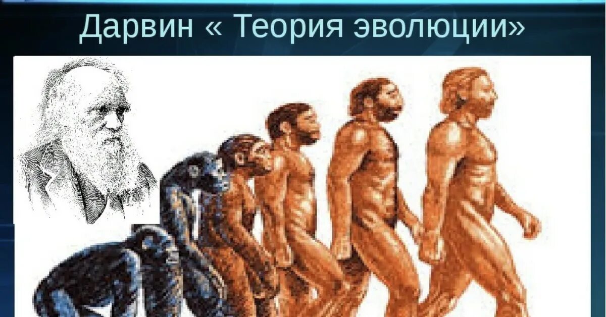 Эволюционная теория развития человека. Эволюционная теория. Эволюционная теория развития человека. Эволюционная теория развития человека. Эволюционная теория.