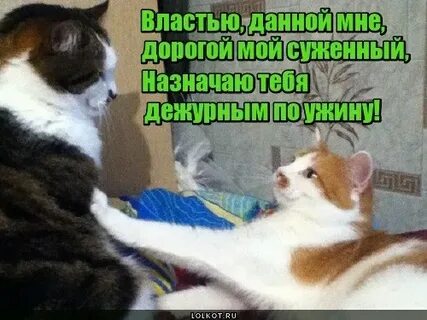 Подожди поговори