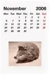 Ноябрь 2007 года