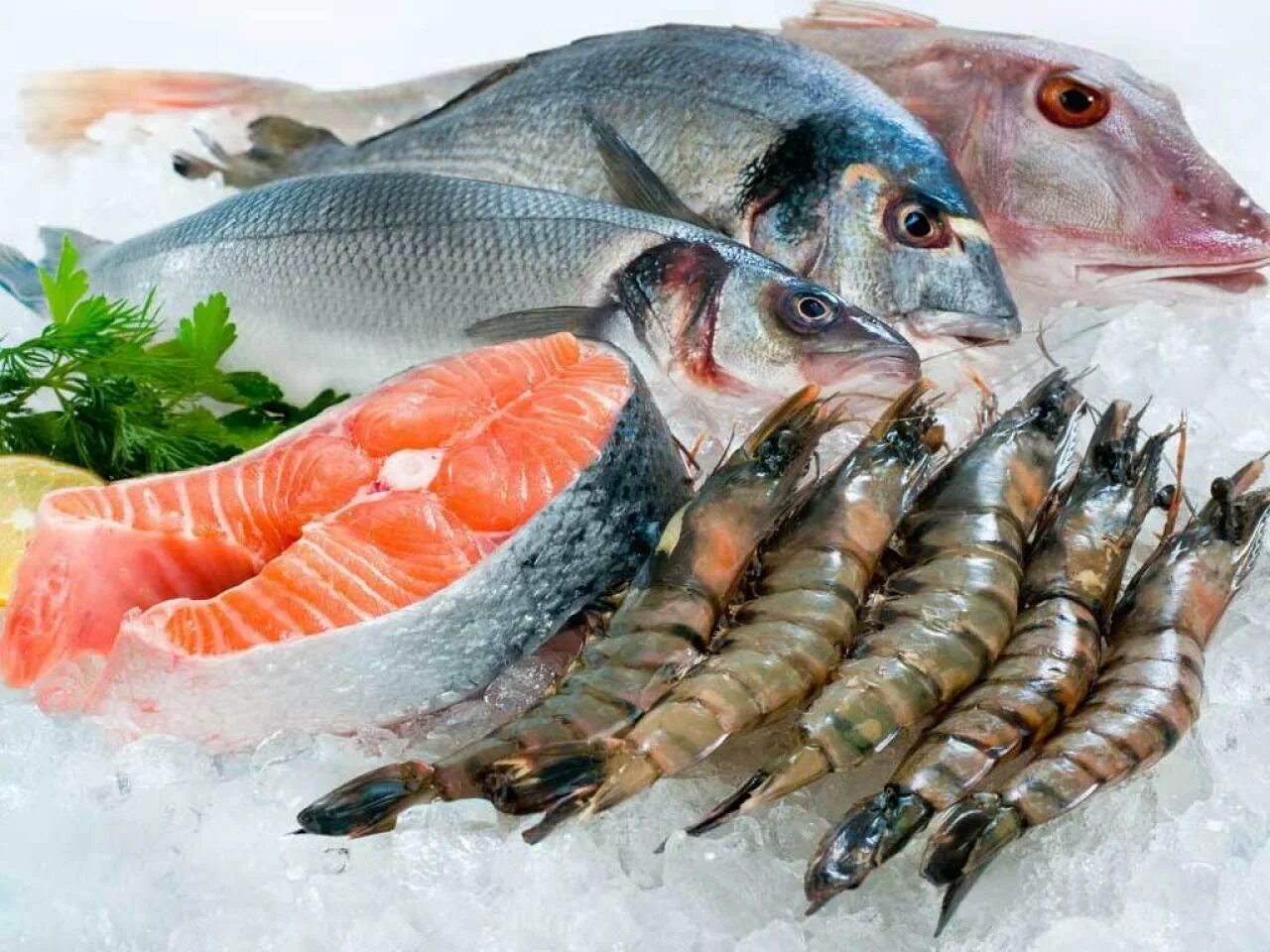 Водные продукты. Мор рыбы. Охлажденная рыба. Рыба мороженая. Свежезамороженная рыба.