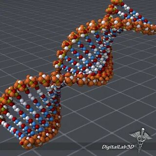3d evolution