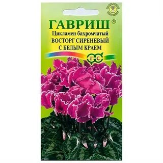 Семена комнатных цветов интернет
