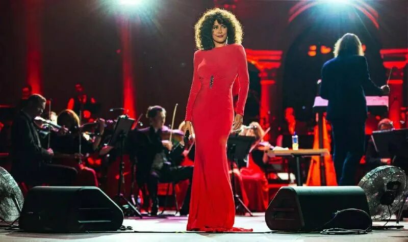 Whitney houston(). кремлевский дворец сьездоа нонцерт уитни хьюстон 2004 год. джексон хьюстон шоу. джексон хьюстон шоу. майкл джексон history.