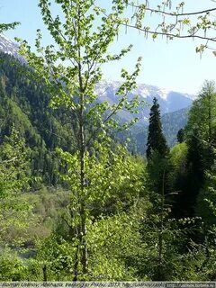 Абхазия в мае стоит ли ехать