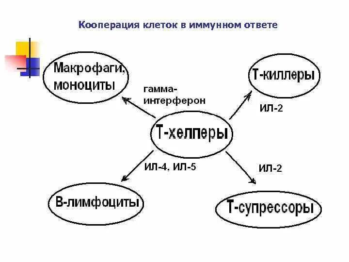 Виды взаимодействия. Теория кооперации и конкуренции. Поздравление с международным днем кооперации. Потребительская кооперация в ссср. Потребительский кооператив рисунок.
