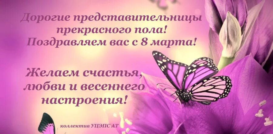 Поздравляем всех представительниц прекрасного пола. Поздравляем всех представительниц прекрасного пола