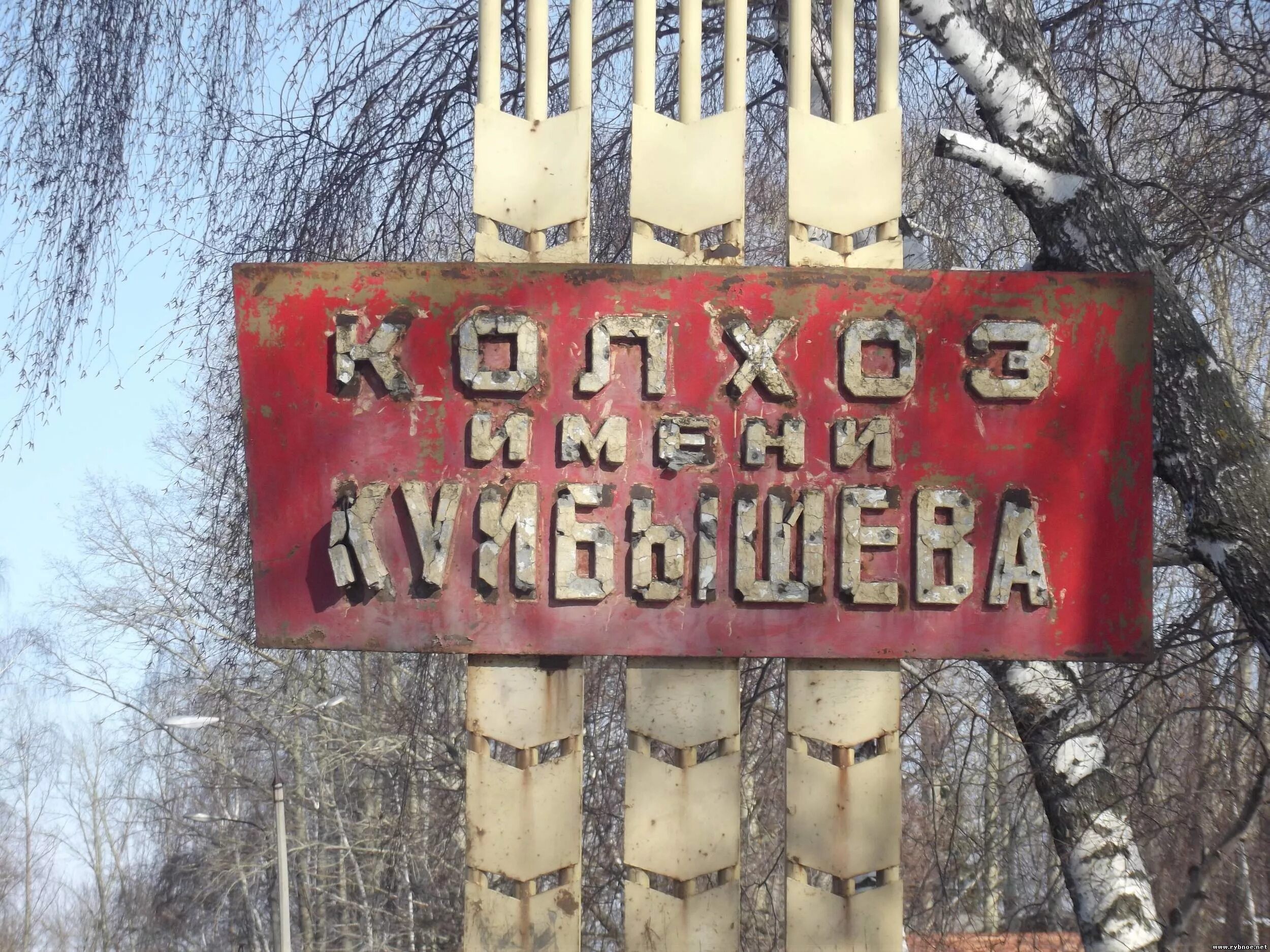Совхоз куйбышево