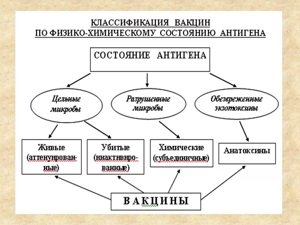 Живые и неживые вакцины. Классификация вакцин схема. Составьте схему «классификация вакцин». Классификация живых вакцин. Вакцины классификация вакцин.