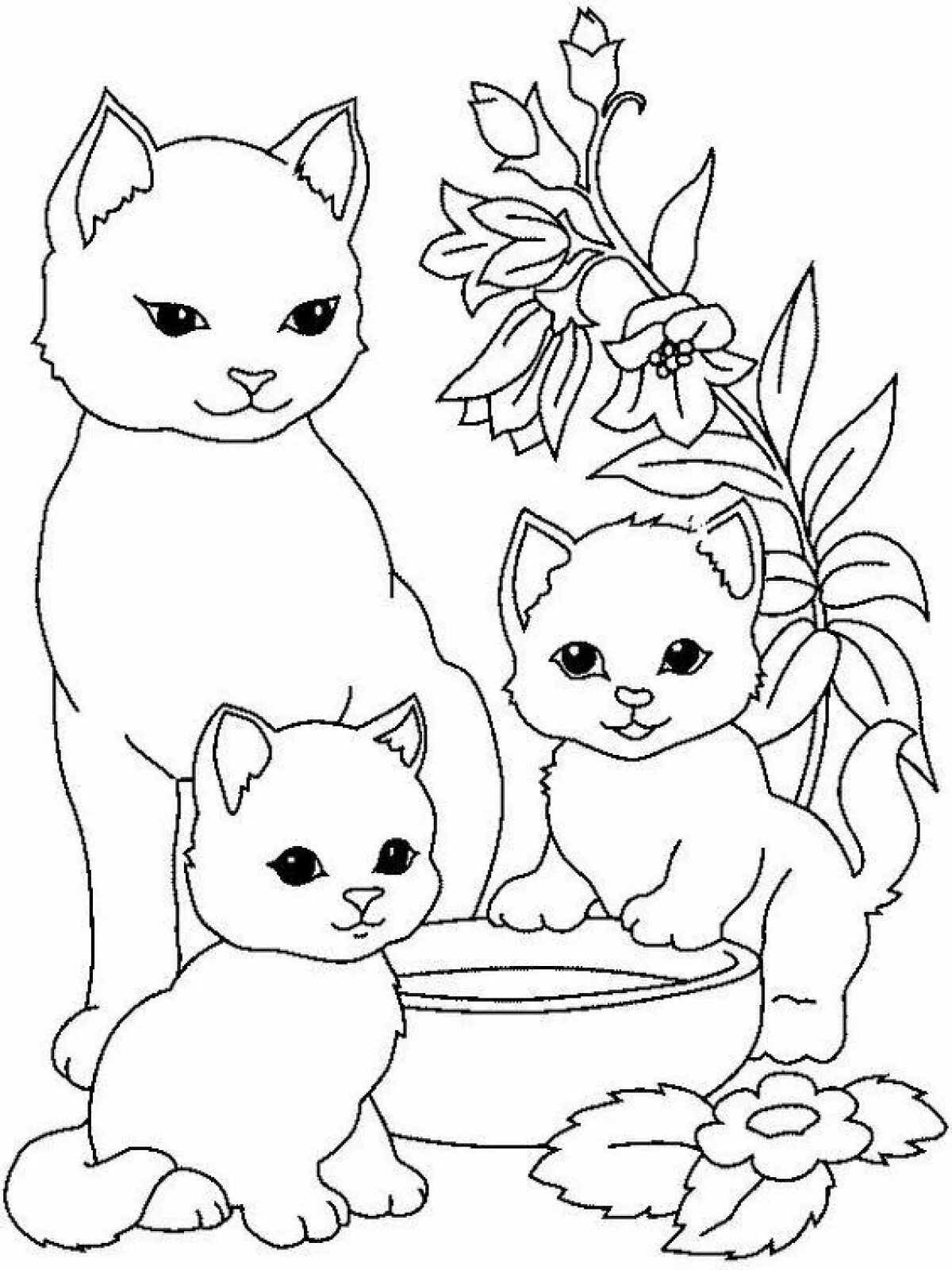 Красивая раскраска котиков. Котенок. раскраска. раскраска. котики. котенок раскраска для детей. раскраска кошка с котятами.