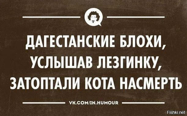 Дагестанские приколы картинки. Дагестанский сленг. Дагестанские фразы. Интеллектуальные шутки. Воздуха дагестанский словарь.