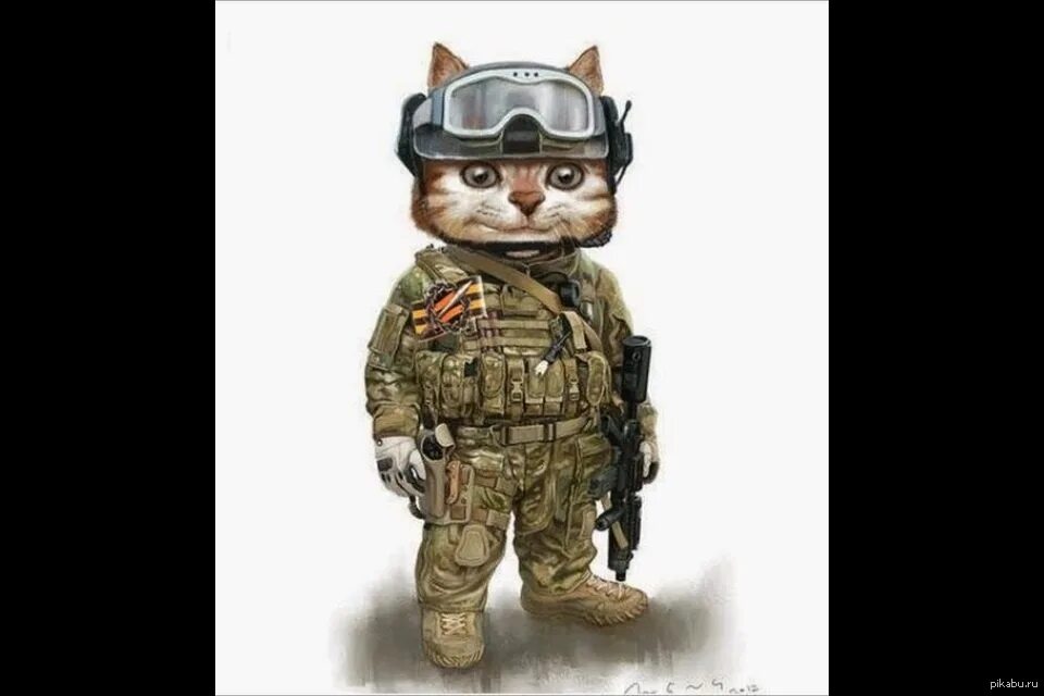 Спец коты. Боевой кот. котик в военной форме. кот в камуфляжной форме. коты в форме спецназа.