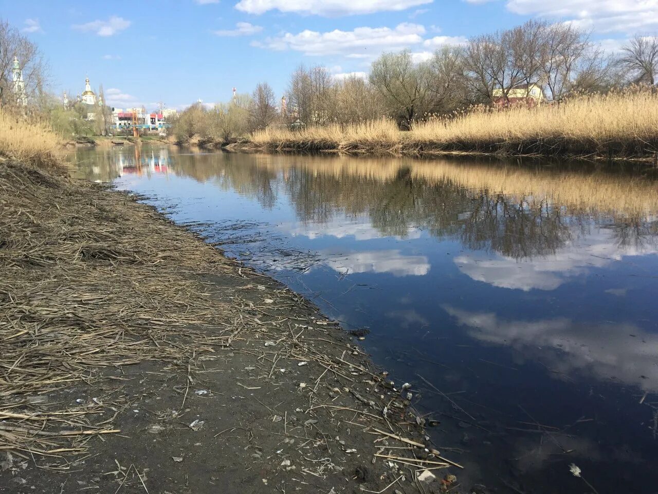 Уровень воды река цна. Реки. Река Цна. Обмеление Москвы реки. Канал реки.