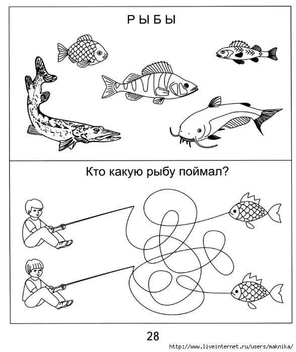 Рыбы задания для детей. Задания для дошкольников ры. Рыбы задания для дошкольников. Задания с рыбками для дошкольников.
