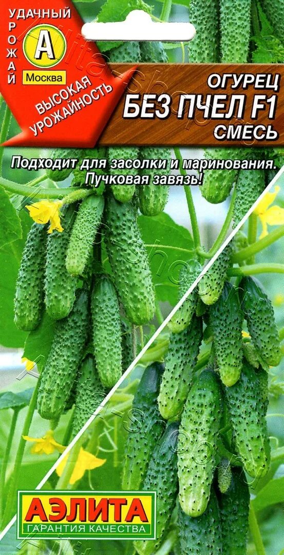 Огурец налетайка f1 0,25 гр/10. Огурцы пчелка. Огурцы сорт пчелка. Огурец без пчел. Огурцы сорт пчелка.