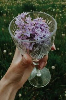 Одуванчики сирень