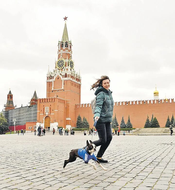 С собакой можно москва