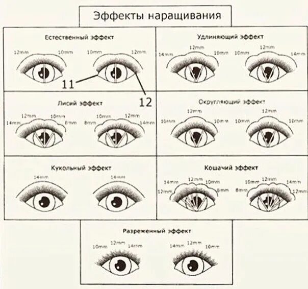 Эффект кукла наращивание ресниц схема. Схема наращивания ресниц натуральный эффект 12 длина. Кукольно-Лисий эффект наращивание схема. Натуральный эффект наращивания ресниц 2d схема.