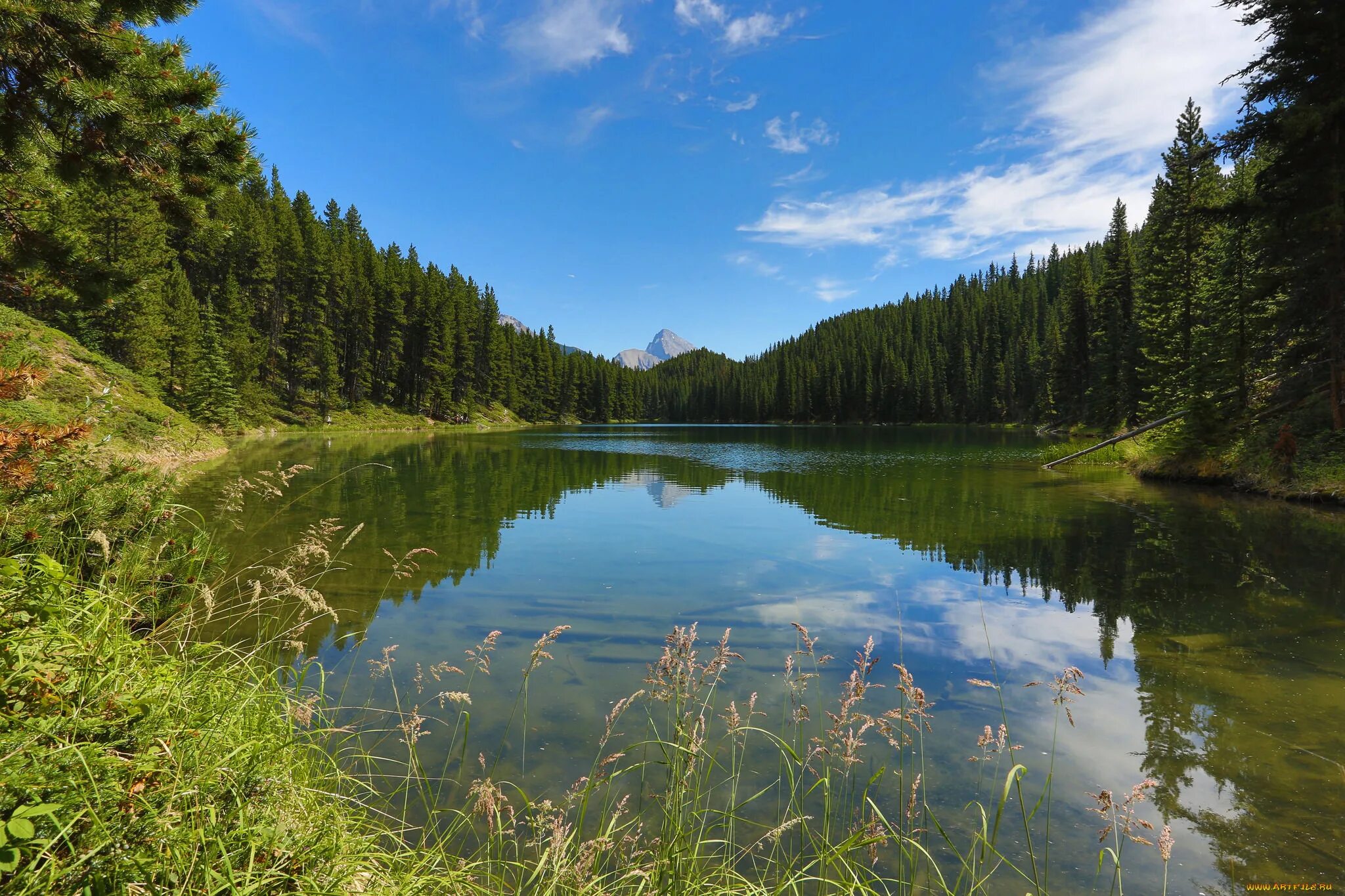 Самая чистая природа. Реки и озера. реки россии. природа россии озеро. природа река озеро.