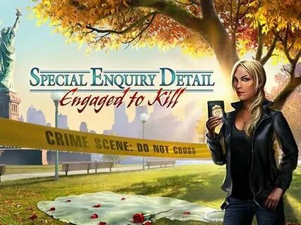 Enquiry detail