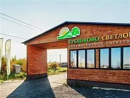Трошково светлое