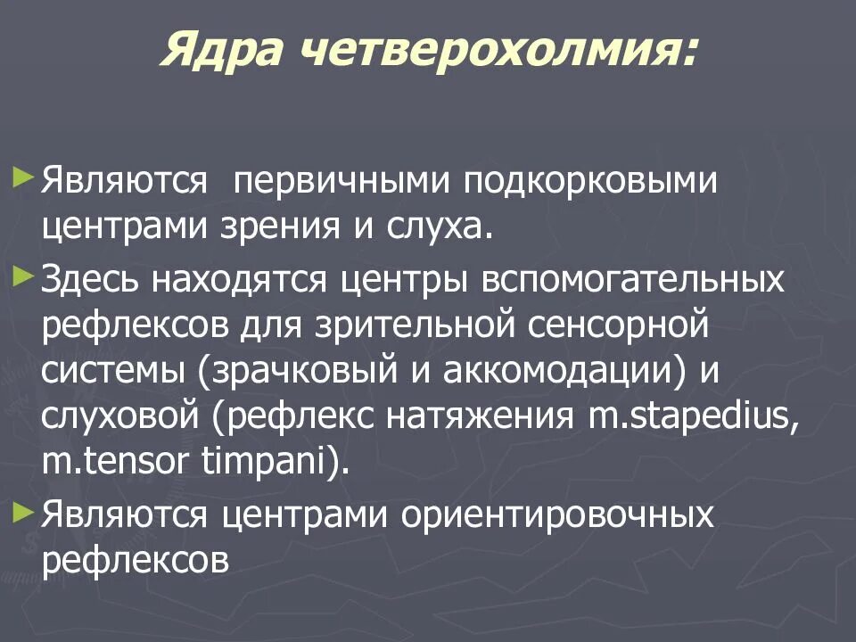 Подкорковый центр зрения находится. Подкорковые центры зрения расположены. подкорковыми центрами зрения являются. первичные подкорковые центры зрения находятся в. подкорковые центры зрения и слуха находятся в.