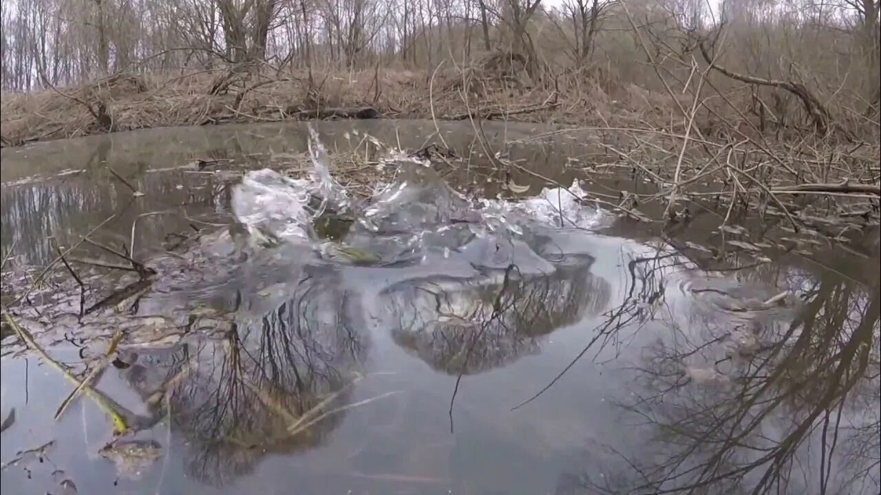 Ловля щуки в половодье. Нерест щуки. Рыбалка на щуку в реках половодье. Нерест щуки весной. Нерест щуки в подмосковье