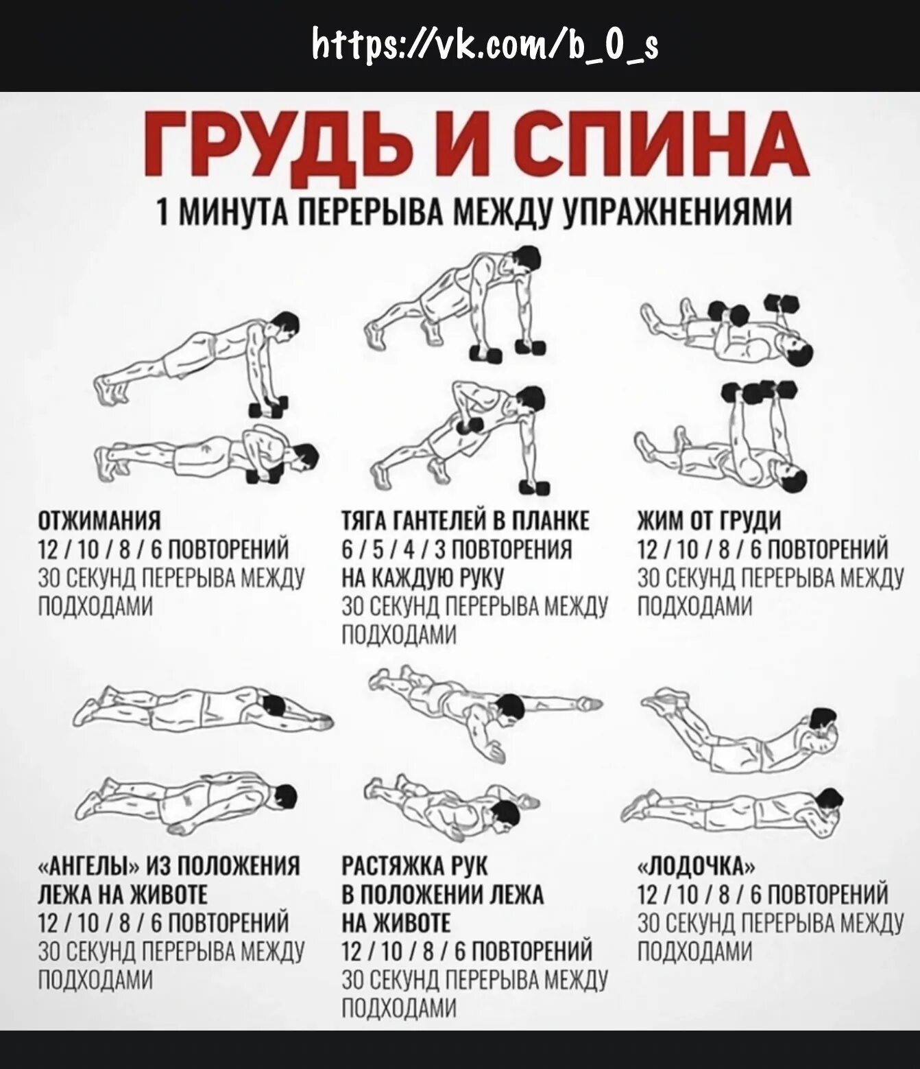 Упр для мышц. Упражнения для тренировки мышц спины в тренажерном зале. упражнения для прокачки мышц спины и позвоночника. комплекс уражненийна спину.