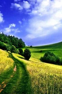 E nature