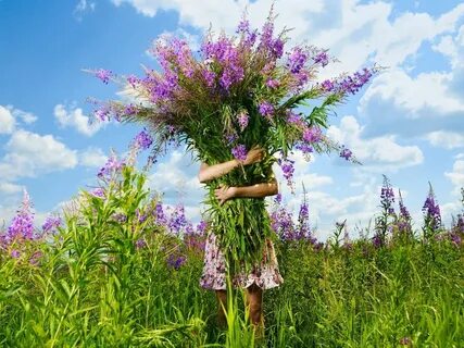 Букет поле