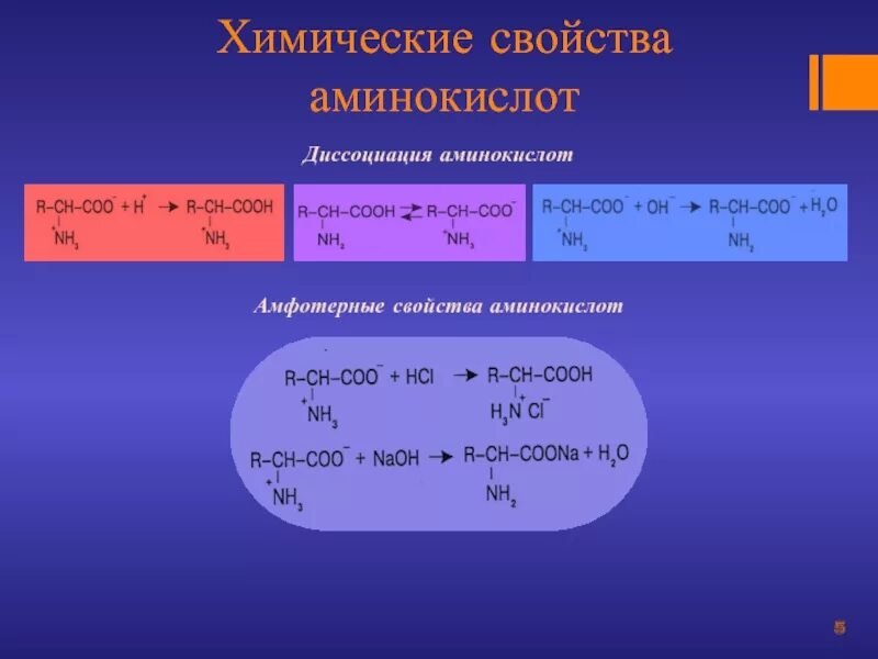 Химические свойства аминов 10 класс. Химические свойства Аминов. Химические свойства аминокислот. Амины хим свойства. Химические свойства первичных Аминов.