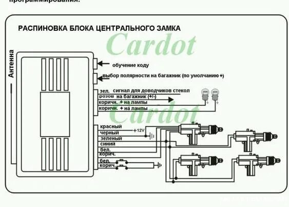 Центральный замок ежик. Схема подключения китайского центрального замка. Схема подключения китайского дистанционного центрального замка. Схема установки центрального замка Maxony mx3. Китайская автосигнализация схема подключения.