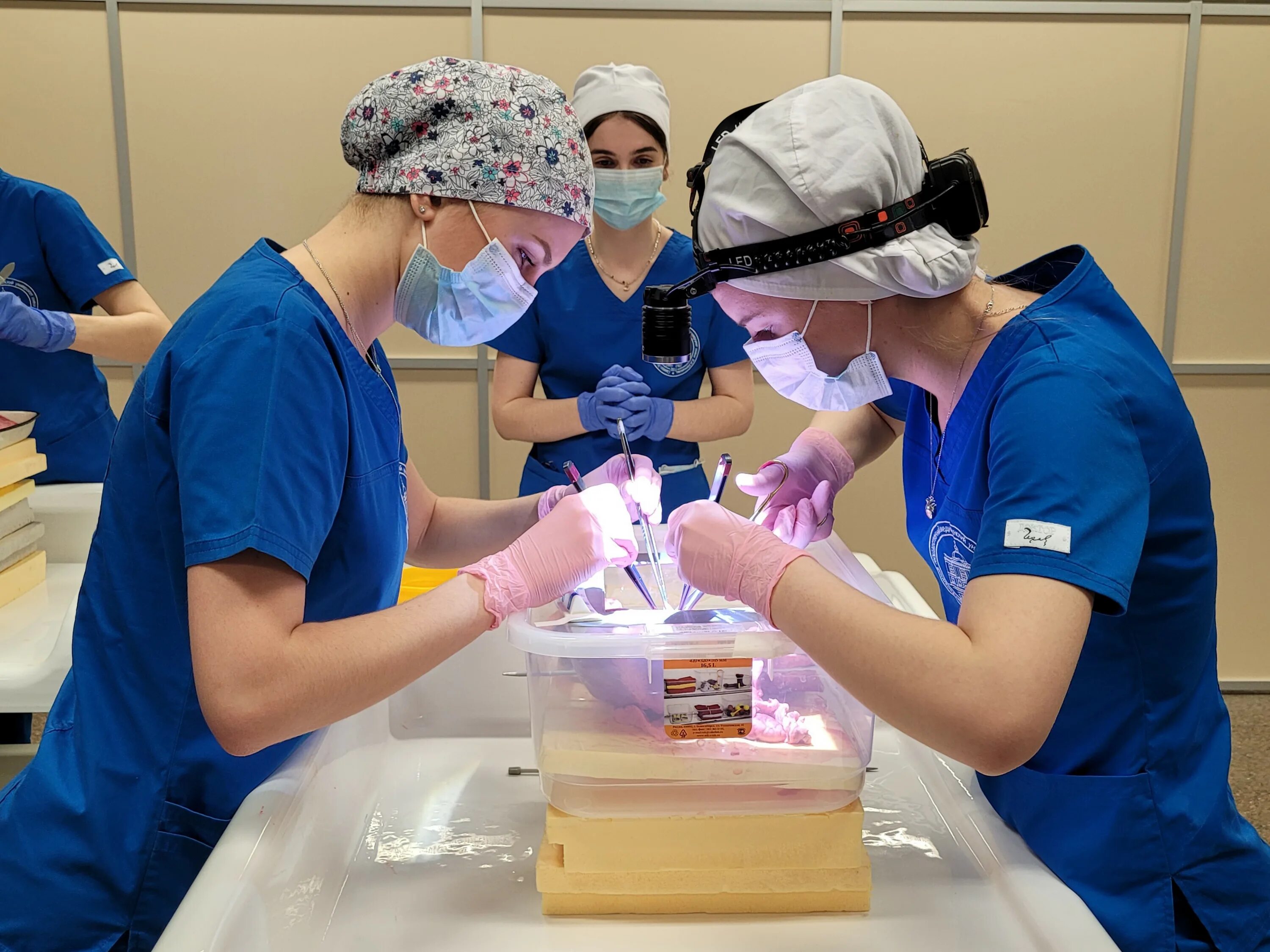 нмиц алмазова коронарография. гордеев михаил леонидович кардиохирург. полостная операция на аорте. общество ангиологов и сосудистых хирургов. сердечно сосудистая хирургия алмазова.