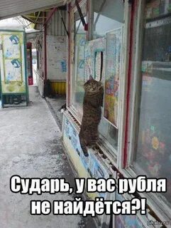 Рубль найдется