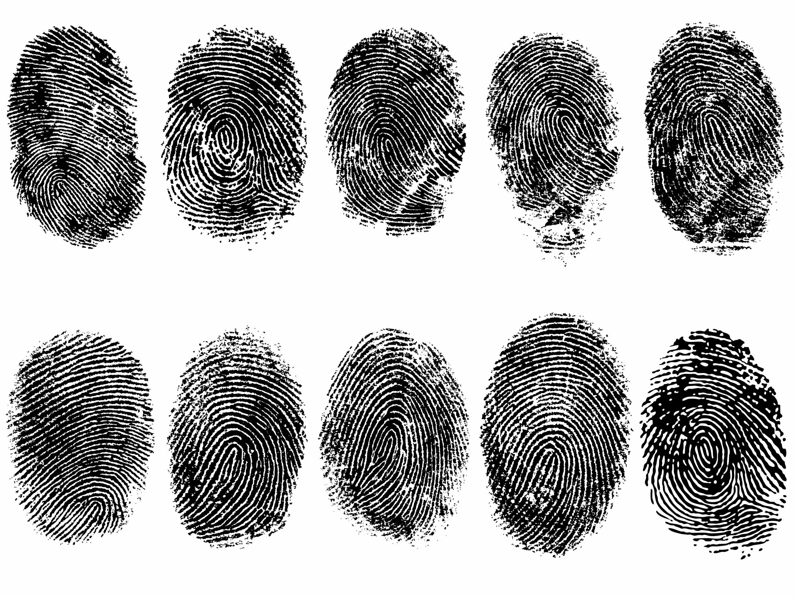 Sectionname ru настройки отпечатков профилей en fingerprints. Дактилоскопия криминалистика. Отпечатки пальцев дактилоскопия. Зарисовка отпечатка пальцев. Отпечаток пальца с дактокарты.