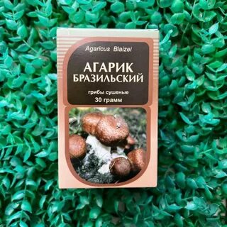 Агарик бразильский